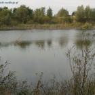zdjęcie nr 12