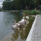 zdjęcie nr 8