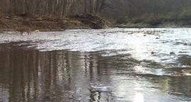Październikowy poranek na Rocky River.