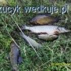 Fotka nr 1 z 3