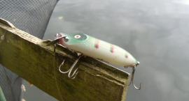 Mój 8 cm Abu Garcia w rzucie bocznym