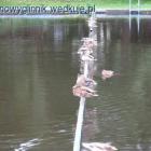 zdjęcie nr 9