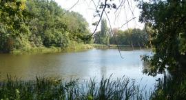 Staw prawy ze śluzą