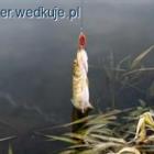 Fotka nr 1 z 7