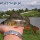 Fotka nr 5 z 7