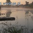 zdjęcie nr 5