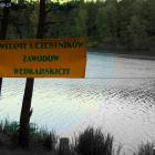 zdjęcie nr 8