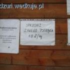 Fotka nr 4 z 6