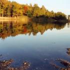 Staw jesienią.