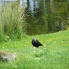 zdjęcie nr 7