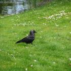 zdjęcie nr 9
