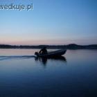 Nocne lowy