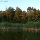 zdjęcie nr 9