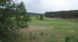 Widok,, Rakówki