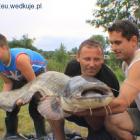 zdjęcie nr 24