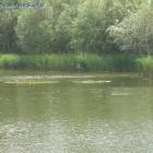 zdjęcie nr 31