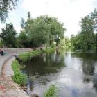 zdjęcie nr 9