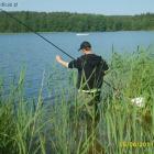 Fotka nr 5 z 10