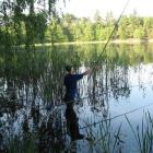 Tomek