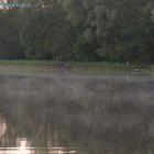 Już od samego świtu pomiomo porannej mgły w trzcinach baraszkowały liny