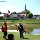 zdjęcie nr 25