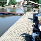 zdjęcie nr 14