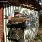 amurek 70cm i 5kg