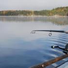 Jezioro Foxen