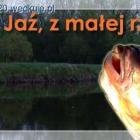 Fotka nr 0 z 4