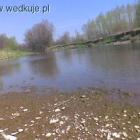 zdjęcie nr 9
