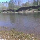 zdjęcie nr 8