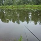 zdjęcie nr 2