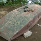 Fotka nr 2 z 24