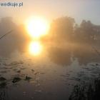 Wczesny poranek idealna pora