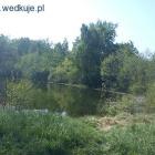 Fotka nr 5 z 10