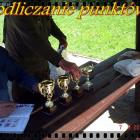 zdjęcie nr 24