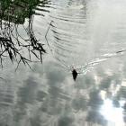 zdjęcie nr 32