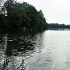 zdjęcie nr 19