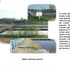 Fotka nr 1 z 11