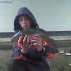 zdjęcie nr 8