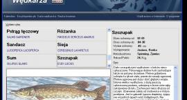 zdjecie programu