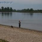 zdjęcie nr 51