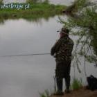 zdjęcie nr 57