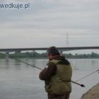 zdjęcie nr 44