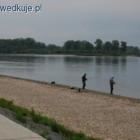 zdjęcie nr 50