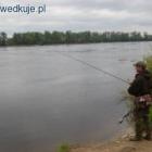 zdjęcie nr 52