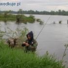 zdjęcie nr 54