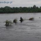 zdjęcie nr 55