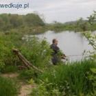 zdjęcie nr 53