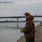 zdjęcie nr 46